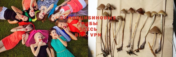 гидра Балахна
