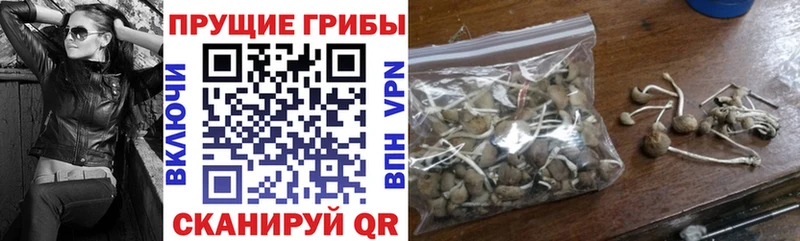 mega вход  купить   Вольск  Галлюциногенные грибы ЛСД 